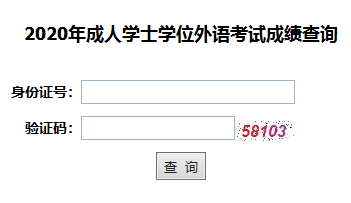 2020年江汉大学成人高考学位英语成绩查询入口已开通