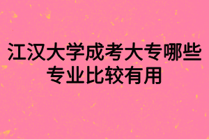 江汉大学成考大专哪些专业比较有用